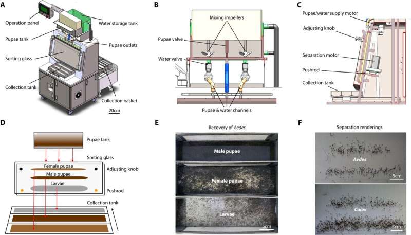 Sorting machine separates 16 million mosquito pupae a week greatly reducing population