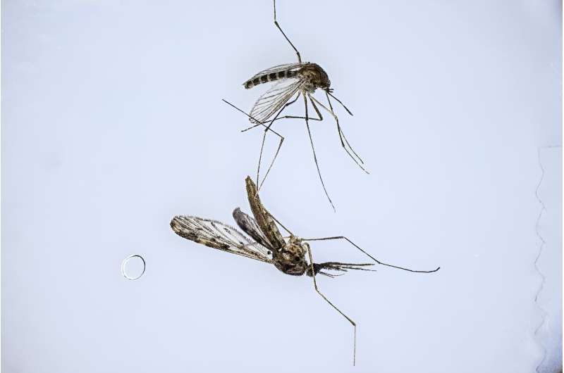 South Korea issued a nationwide malaria warning this year, and scientists say climate change could bring more mosquito-borne diseases to the peninsula