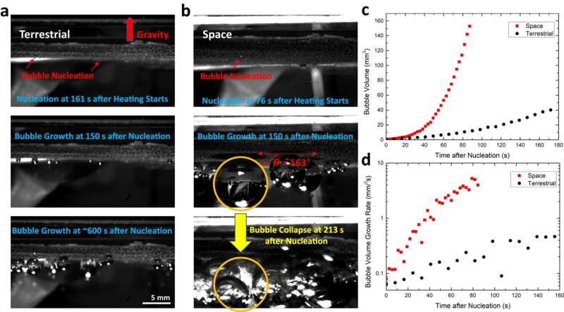 Space-based experiments could help to advance early cancer detection through blood tests