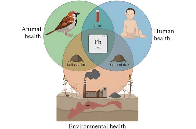 Sparrows as sentinels: Health study illustrates the interconnectedness of humans and wildlife