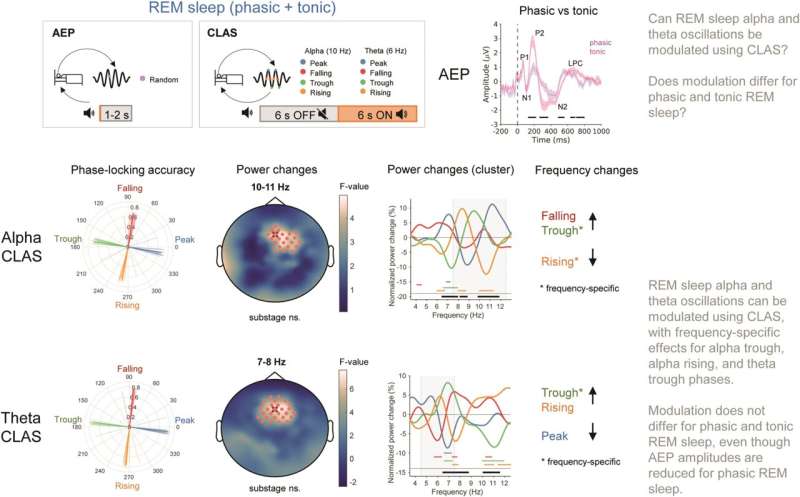 Speeding up and slowing down brain waves while in rapid eye movement sleep