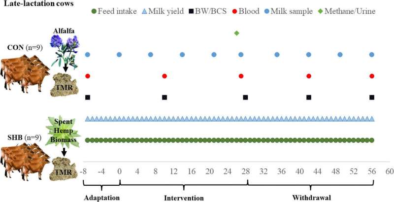 Spent hemp biomass: A feed use that supports milk production in dairy cows