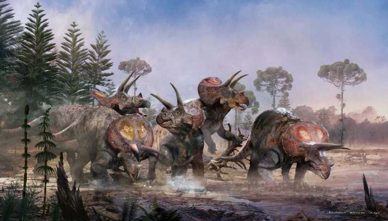 Spielberg was right: Triceratops teamed up