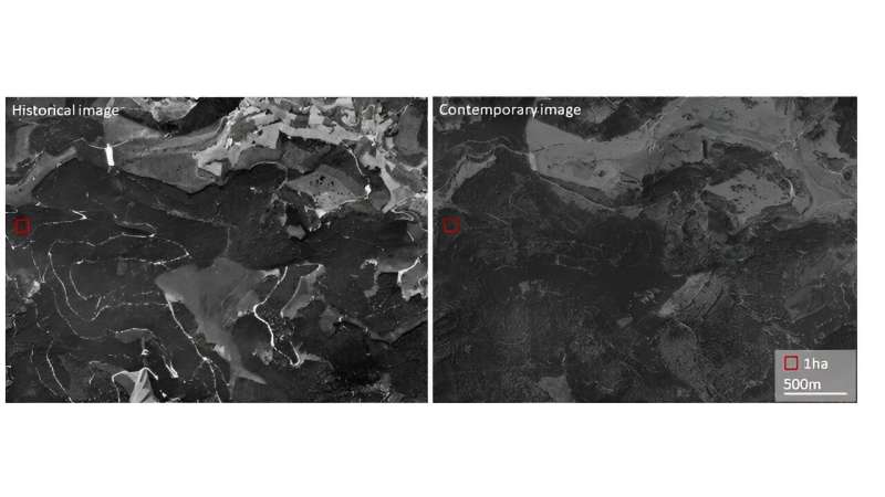 Spy satellite images offer insights into historical ecosystem changes