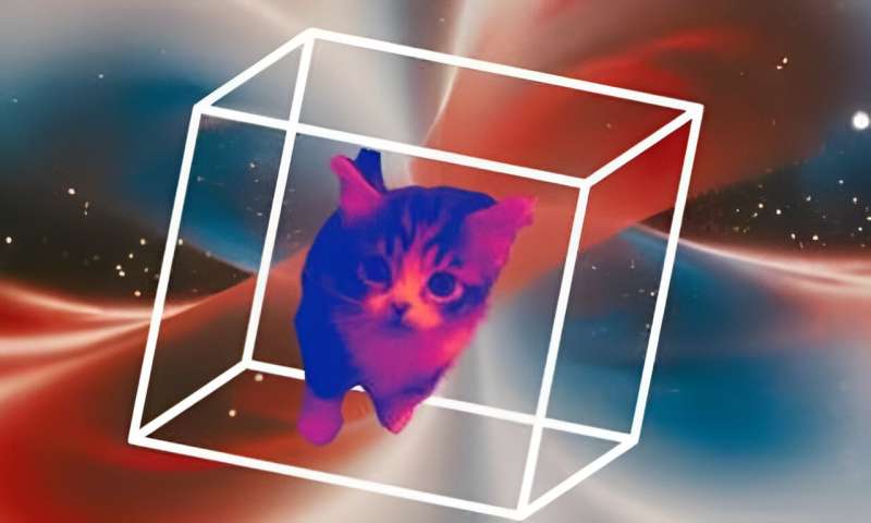 Squeezing Schrödinger's cat may increase quantum sensitivity