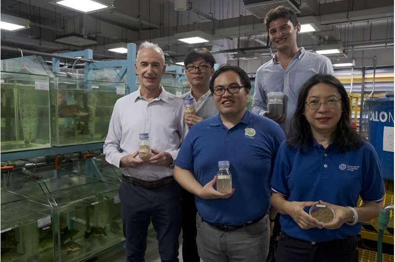 Los científicos reemplazan la harina de pescado en la acuicultura con proteína microbiana derivada de las aguas residuales del procesamiento de la soja
