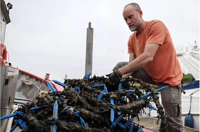 Stijn Van Hoestenberghe, who manages a mussel farm, admits it's not easy work