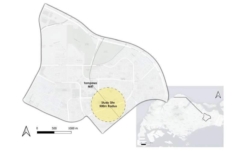 Strolling around a Singapore town: What makes a neighbourhood ideal for walking?