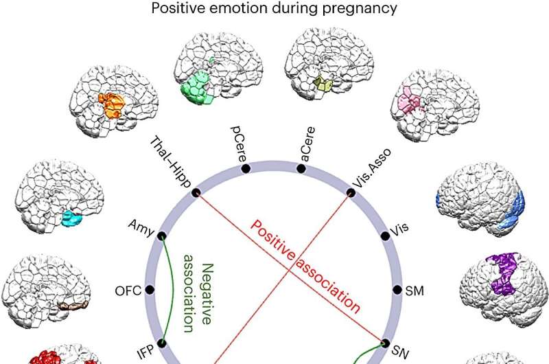Study confirms maternal positive mental health correlated to children's brain development