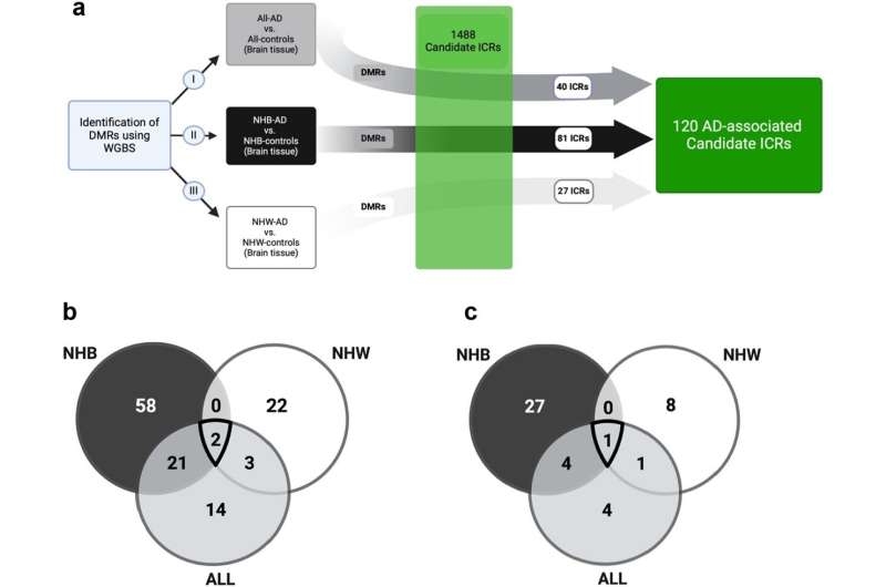 Study explores role of epigenetics, environment in differing alzheimer's risk between black and white communities