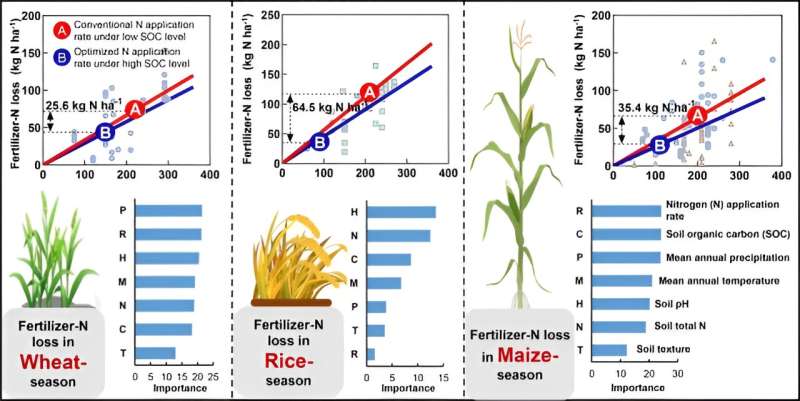 Un estudio encuentra patrones de pérdidas de nitrógeno y fertilizantes específicos de cultivos y oportunidades para una mitigación sostenible