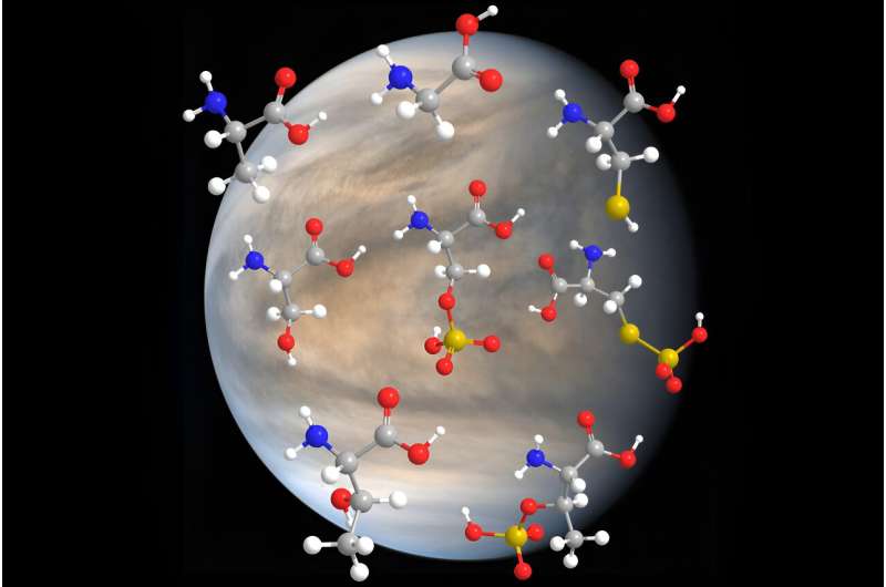 Study: Life's building blocks are surprisingly stable in Venus-like conditions | MIT News