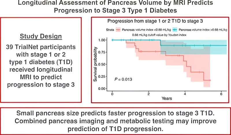 Study links small pancreas size to faster progression to stage 3 Type 1 diabetes