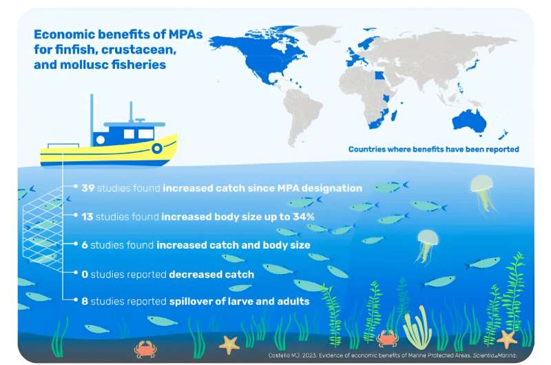 Study of 34 countries finds ocean protection delivers overlooked economic benefits to fishing, tourism