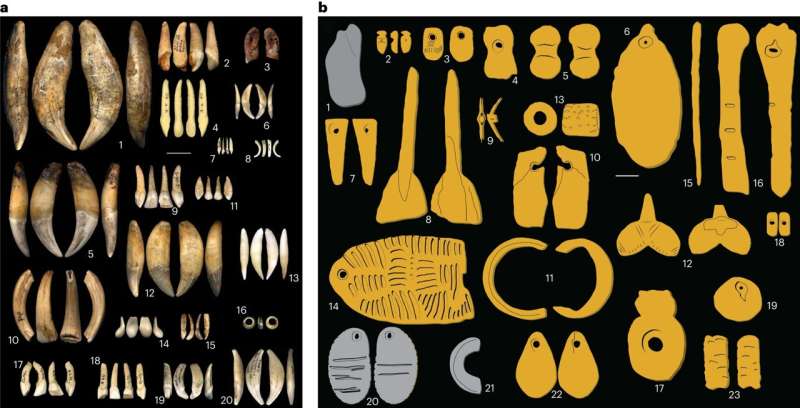 Study of ancient adornments suggests nine distinct cultures lived in Europe during the Paleolithic