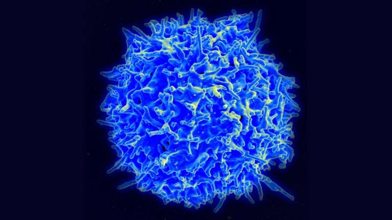 Study of immune response to cancer based on DNA locked in old archive cancer samples