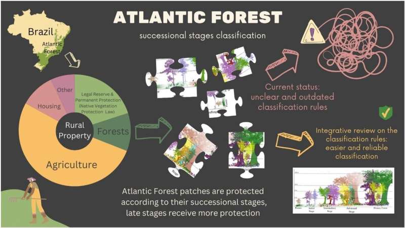 Study proposes changes to simplify legislation on Atlantic Rainforest biome and enhance conservation