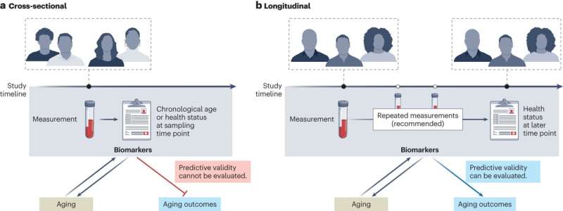 Study proposes framework to standardize biomarkers of aging and accelerate clinical use