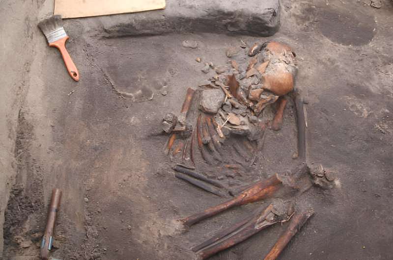 Study proposes novel hypothesis to explain occupation of Brazil's southern coast 2,000 years ago