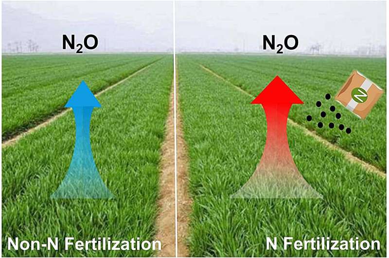 Study refines understanding of factors influencing global N2O emissions from agricultural soils