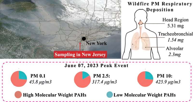 Study reveals Canadian wildfires are affecting U.S. air quality and raising health concerns