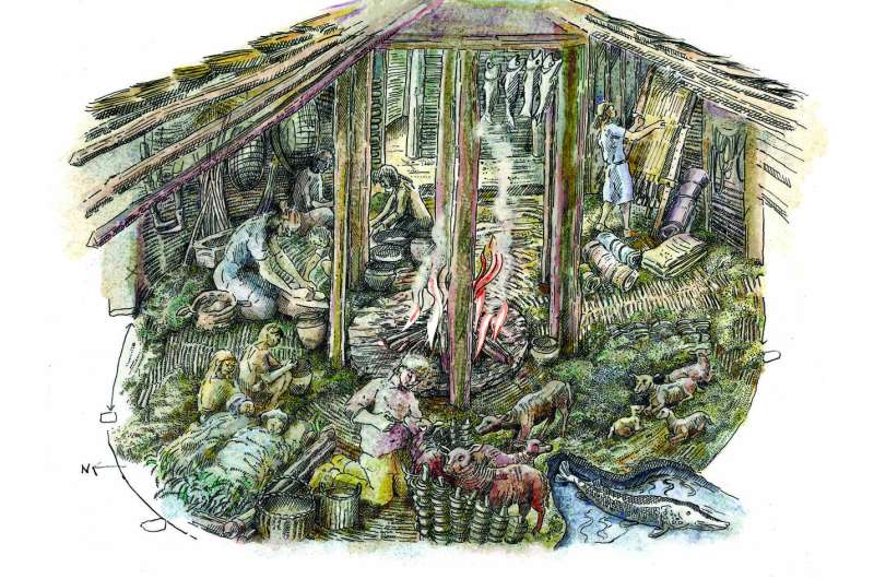 Study reveals 'cozy domesticity' of prehistoric stilt-house dwellers in England's ancient marshland