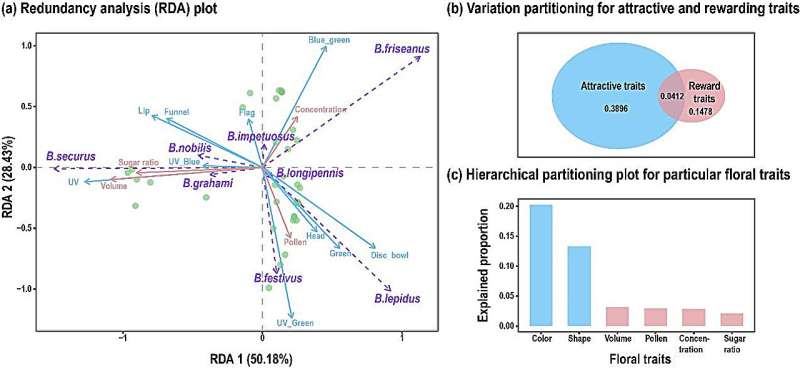 Study reveals floral resource partitioning among coexisting bumblebees at species, colony and individual levels