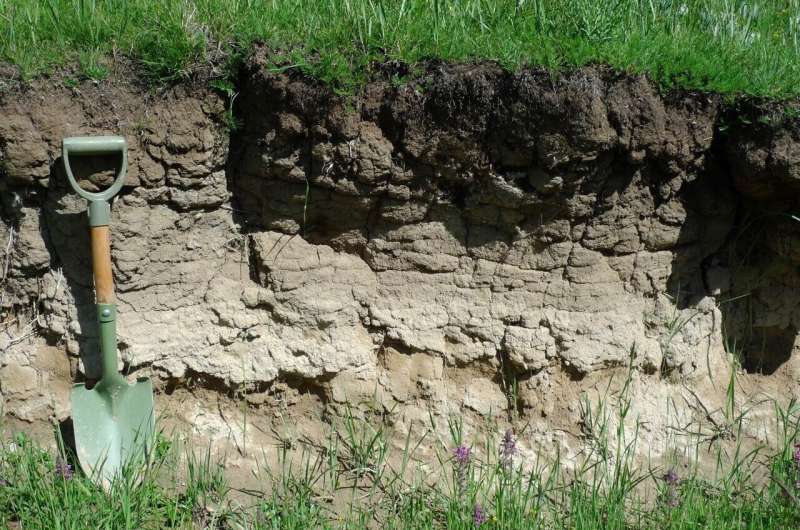 Study reveals giant store of global soil carbon