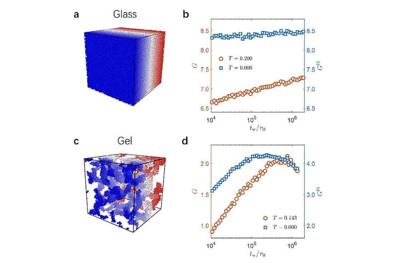 Study sheds light on the origin of elasticity in glasses and gels 