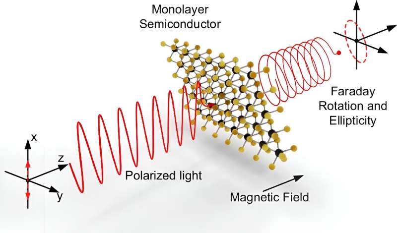 Study shows: 2D materials rotate light polarization