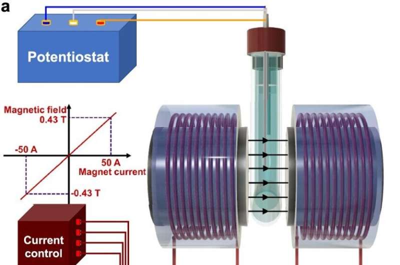 Study shows magnetic fields boosts electrocatalysis for sustainable fuel production