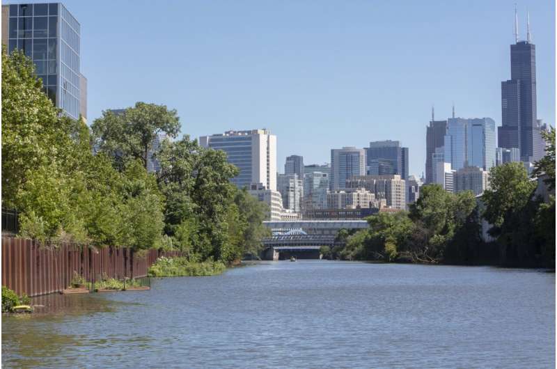 Study shows natural shorelines support greater biodiversity in the chicago river