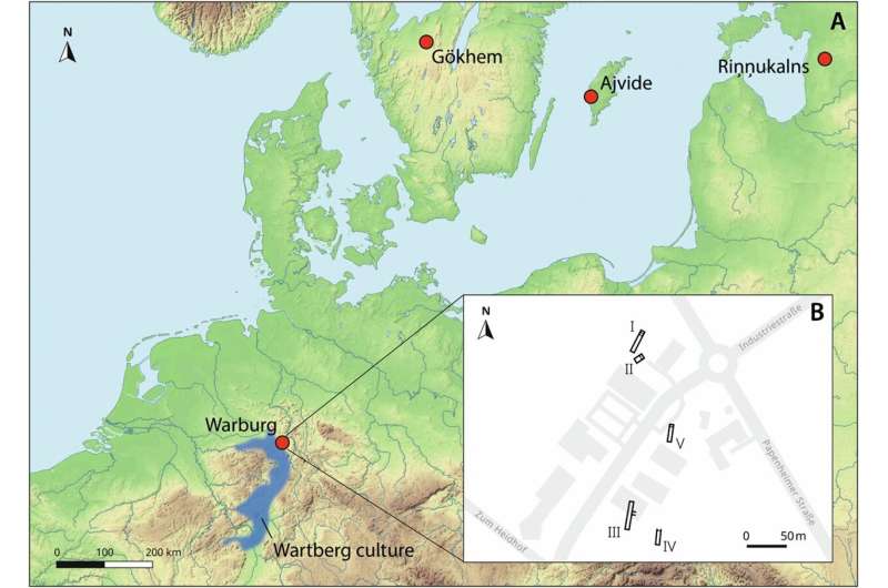 Study shows possible infection paths of Yersinia pestis 5,000 years ago