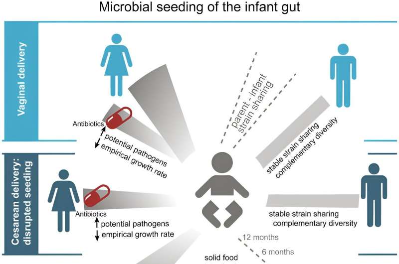 Study shows role of fathers in seeding the microbiota of newborns and confirms benefits of maternal fecal microbiota transplants