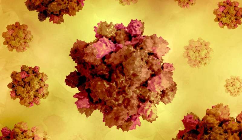 研究表明戊型肝炎可能是一种性传播感染