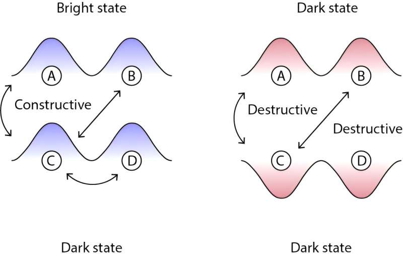 Une étude révèle des états sombres de matière condensée dans un système quantique avec deux paires de sous-réseaux