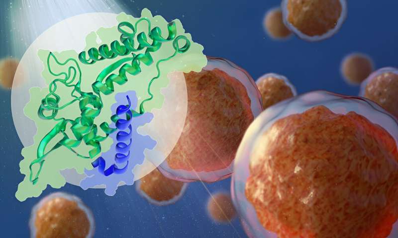 Studying the relationship between cancer-promoting proteins