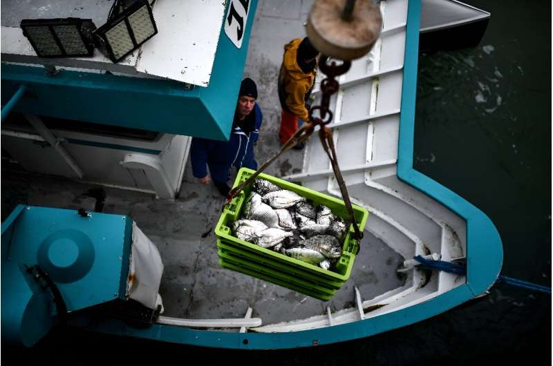 Los subsidios y el exceso de capacidad en la industria pesquera mundial son el objetivo de las conversaciones de la Organización Mundial del Comercio esta semana