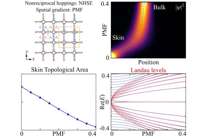Suppressing non-Hermitian effects via "fake" magnetic fields