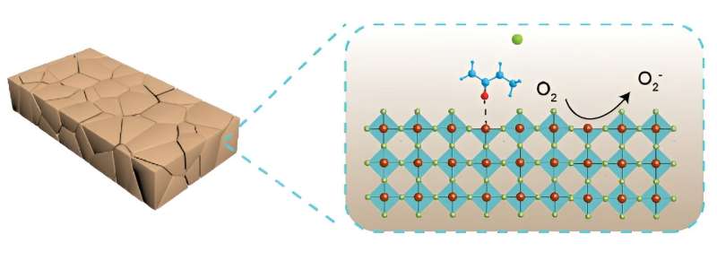 Suppression of deep-level traps for lead-free perovskite solar cells