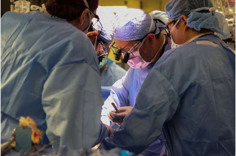 Surgeons implant pig kidney into first living human patient