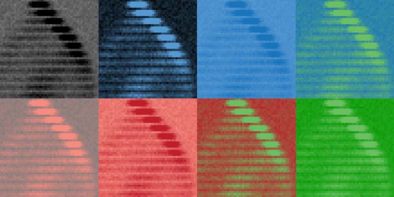 Research reveals a surprising topological reversal in quantum systems