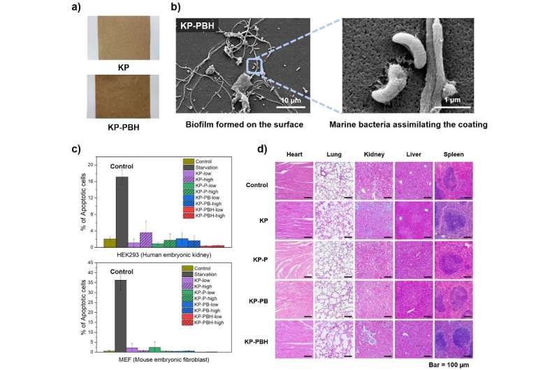 Sustainable, high-performance paper coating material to reduce microplastic pollution