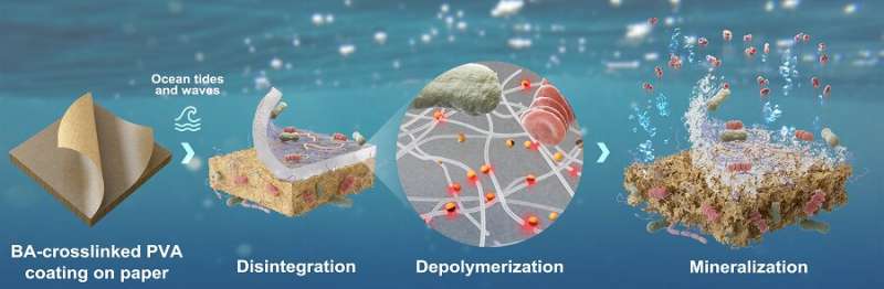 Sustainable, high-performance paper coating material to reduce microplastic pollution