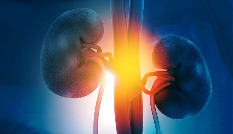 Systemic inflammation increases risk for chronic kidney disease