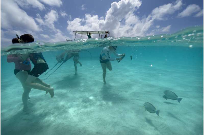 Tahiti's rahui tradition has helped revive ecosystems — including near the Olympics surfing venue