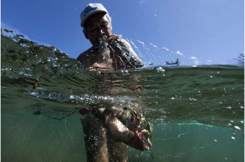 Tahiti's rahui tradition has helped revive ecosystems — including near the Olympics surfing venue