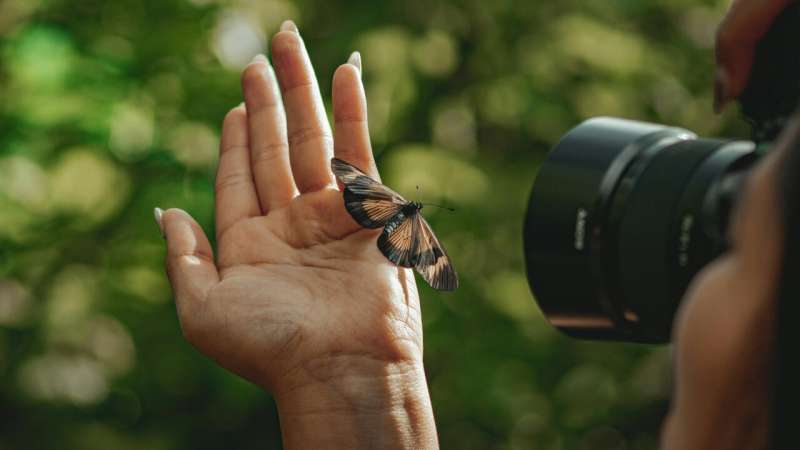 taking pic of butterfly