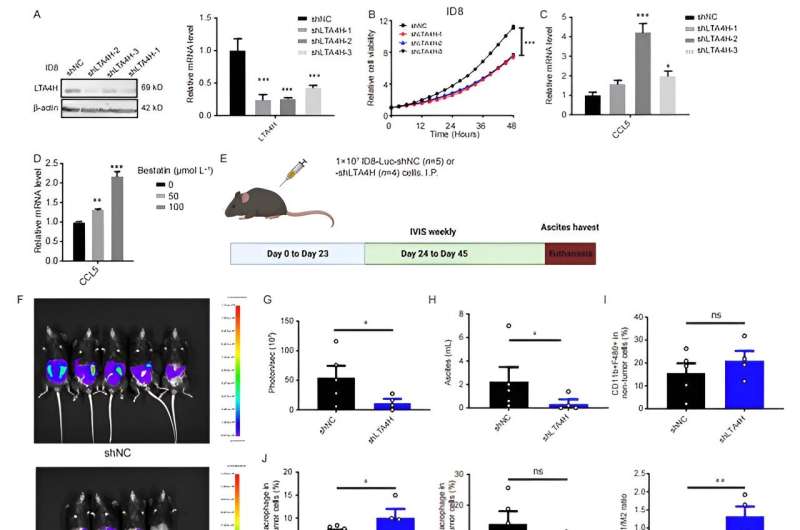 Targeting LTA4H improves the tumor immune microenvironment and is expected to be a new treatment strategy for ovarian cancer