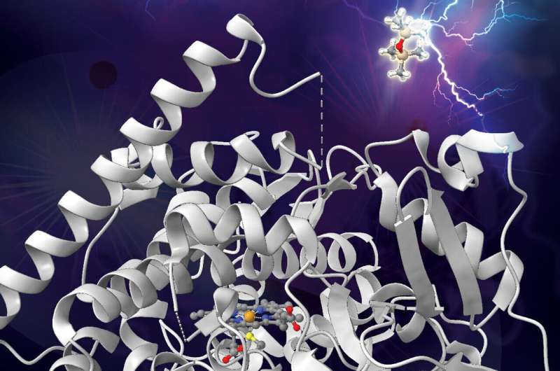 Teaching nature to break man-made chemical bonds